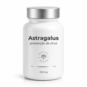 Astragalus 250mg