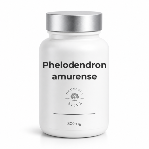 Phelodendron 300mg