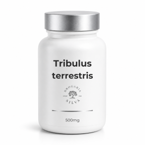 Tribulus terrestris 500mg