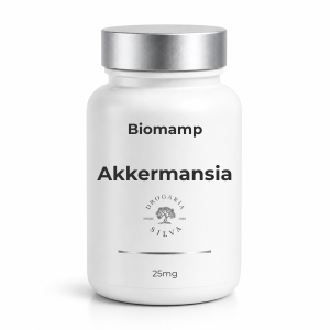 Biomamp Akkermansia municiphila